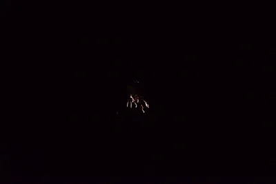 DSC_3419 (Large).JPG